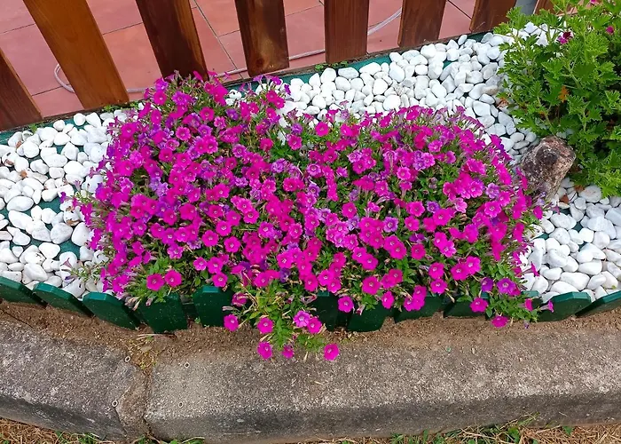 A Casa Do Ferrador Летний дом